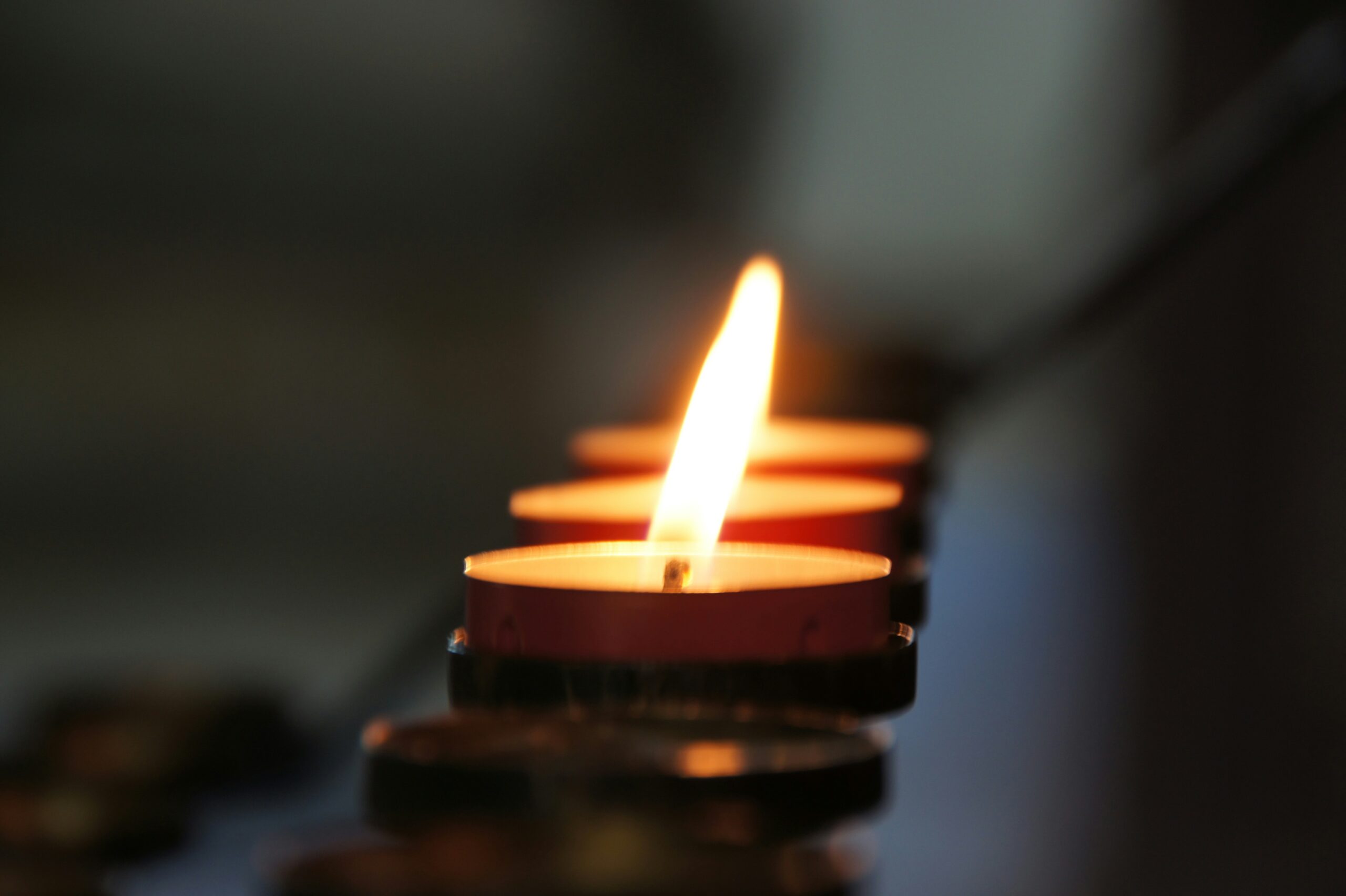 eli-solitas-ijlYeOBfyPk-unsplash